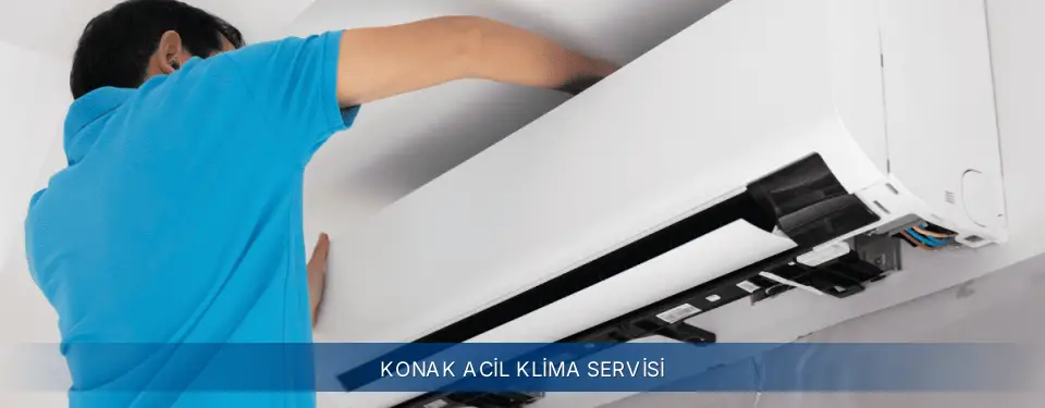 Konak İlçemi Electrolux Acil Klima Servisi