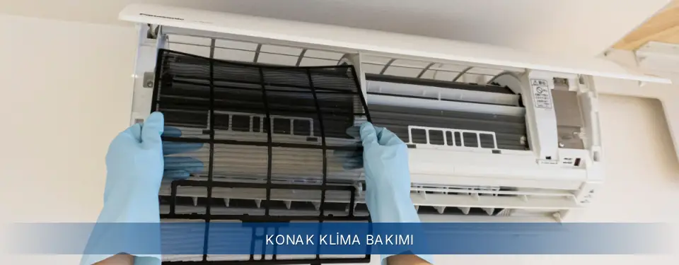 Konak İlçemi Electrolux Klima Bakımı