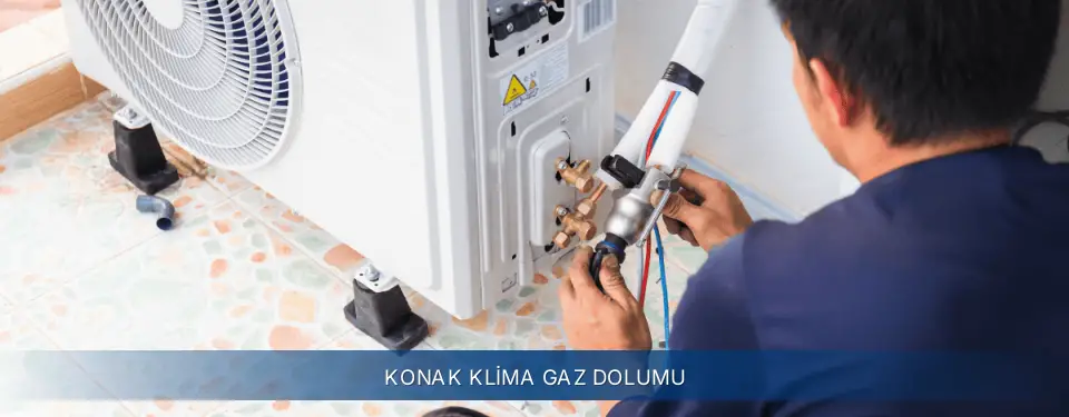Konak İlçemi Electrolux Klima Gaz Dolumu
