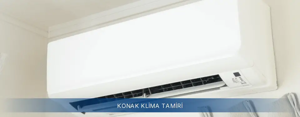 Konak İlçemi Electrolux Klima Tamiri