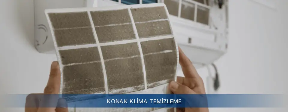 Konak İlçemi Electrolux Klima Temizleme